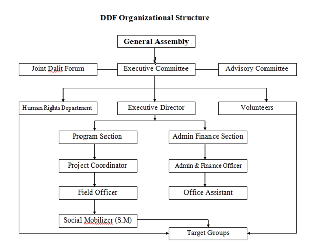 Organization Structure of DDF